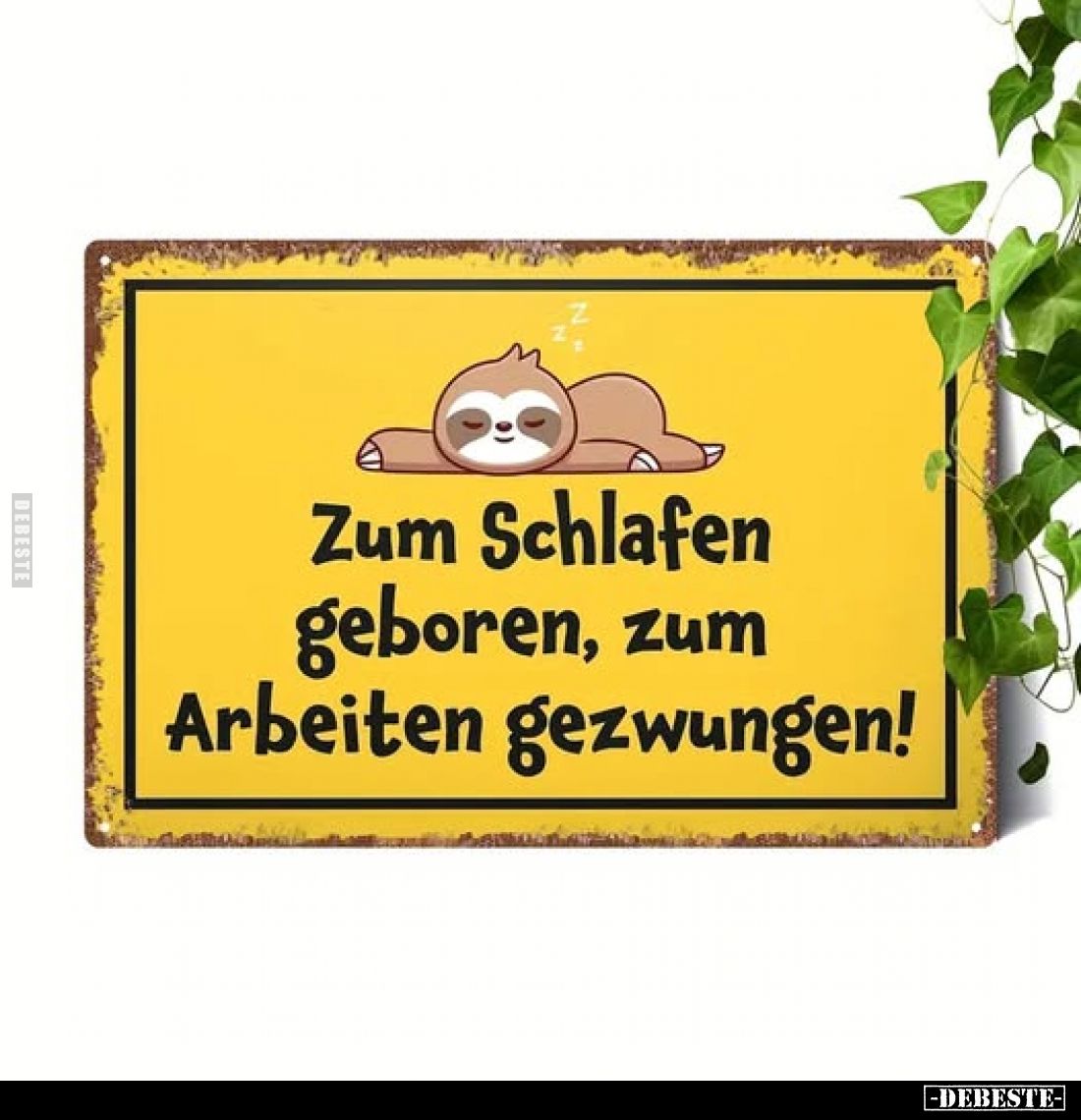 Zum Schlafen geboren, zum Arbeiten gezwungen!