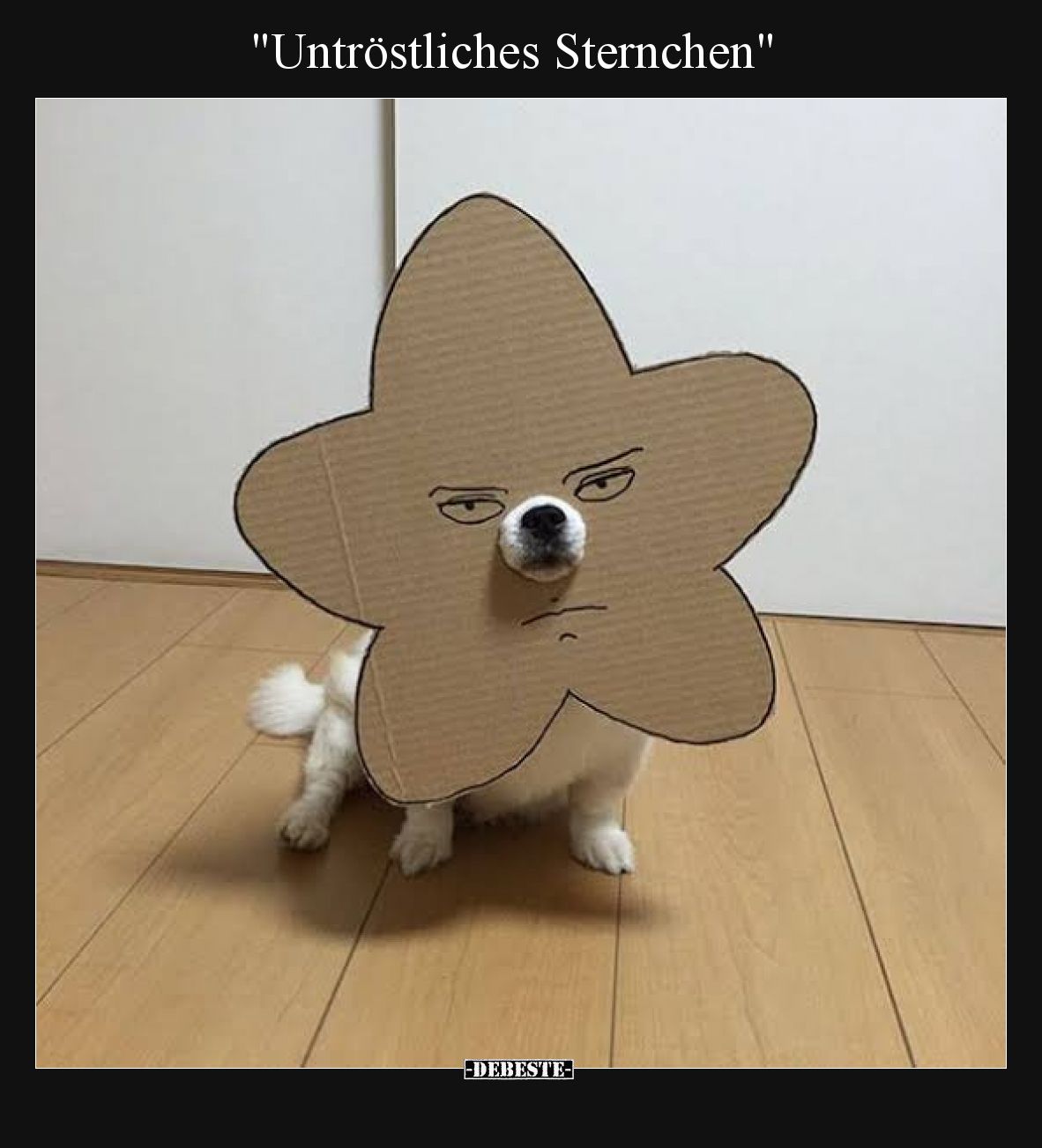 "Untröstliches Sternchen"