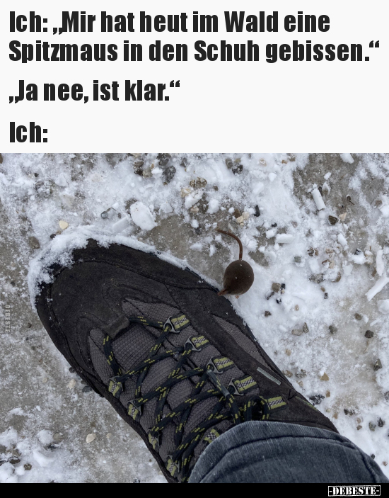 Ich: "Mir hat heut im Wald eine Spitzmaus in den Schuh.." - Lustige Bilder | DEBESTE.de