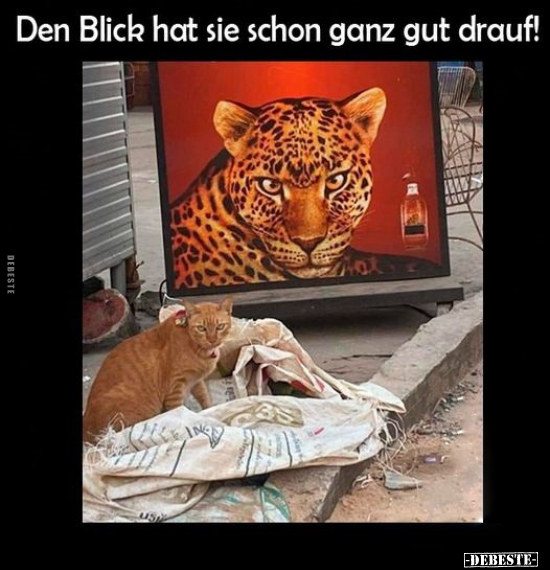 Den Blick hat sie schon ganz gut drauf!.. - Lustige Bilder | DEBESTE.de