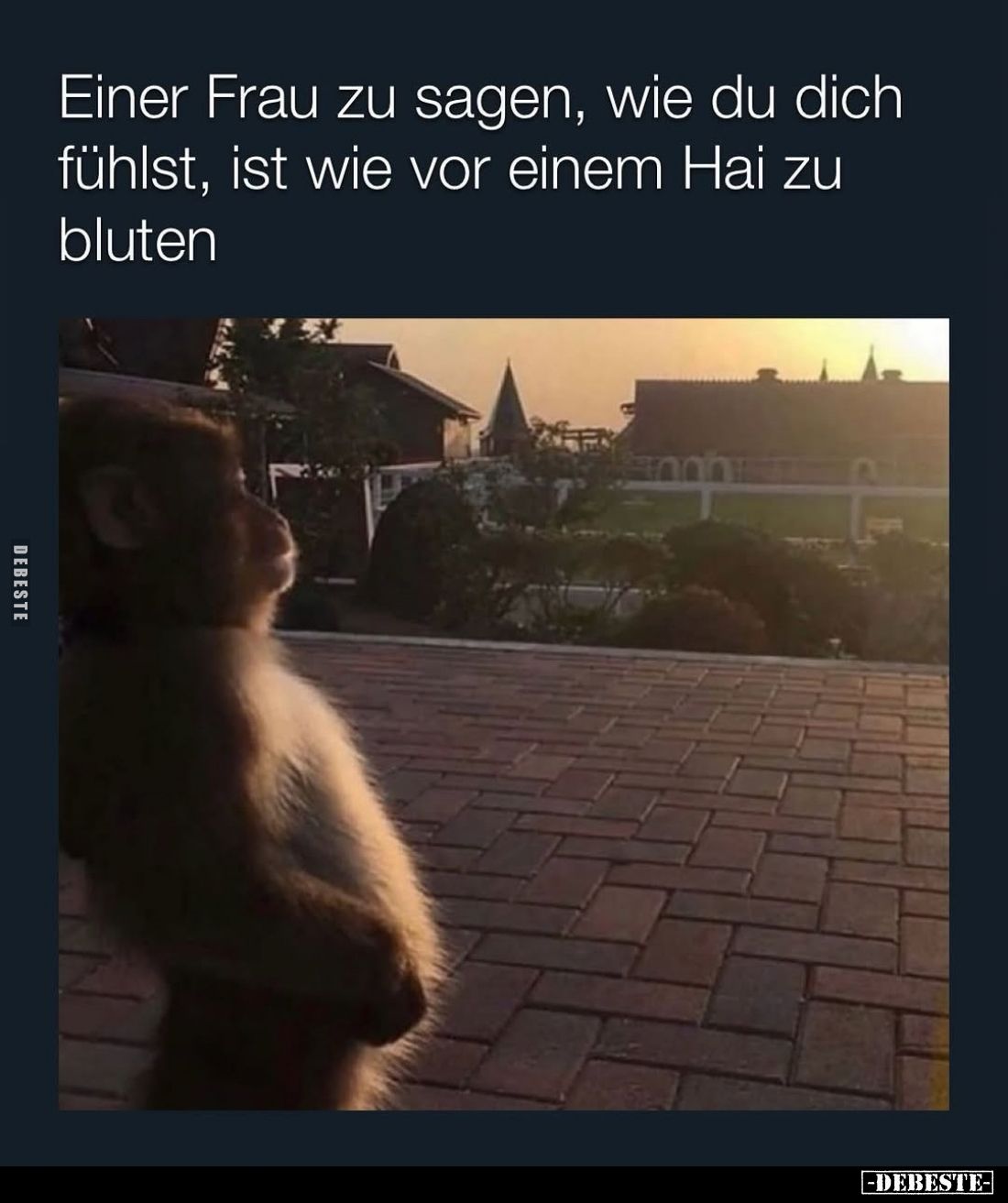 Einer Frau zu sagen, wie du dich fühlst, ist wie vor einem Hai zu bluten