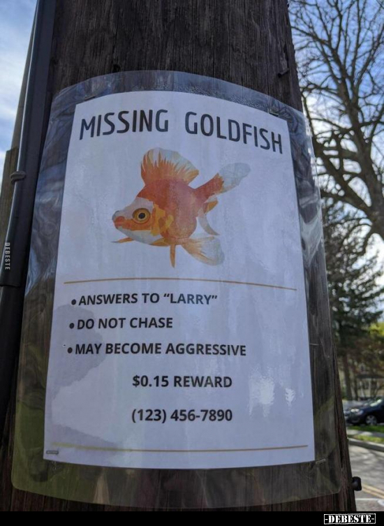 MISSING GOLDFISH