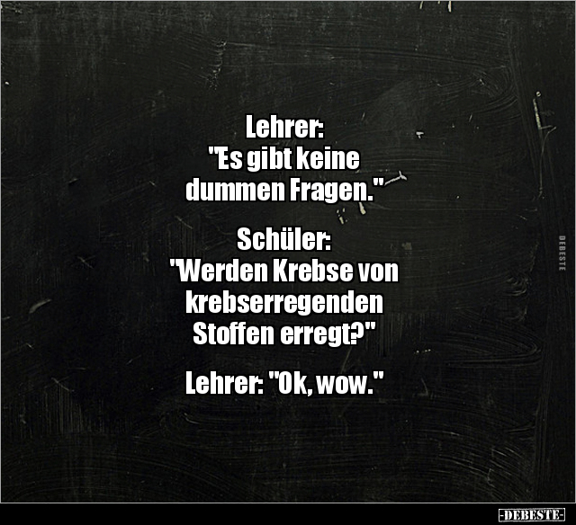 Lehrer: "Es gibt keine dummen Fragen..." - Lustige Bilder | DEBESTE.de