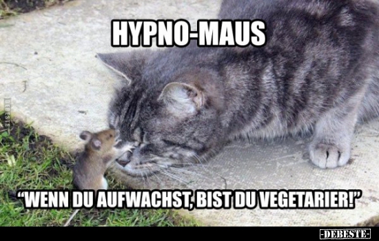 Hypno-Maus.. - Lustige Bilder | DEBESTE.de