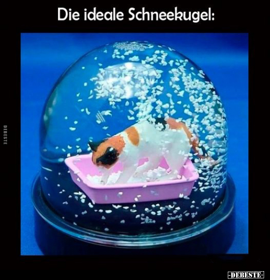 Die ideale Schneekugel.. - Lustige Bilder | DEBESTE.de