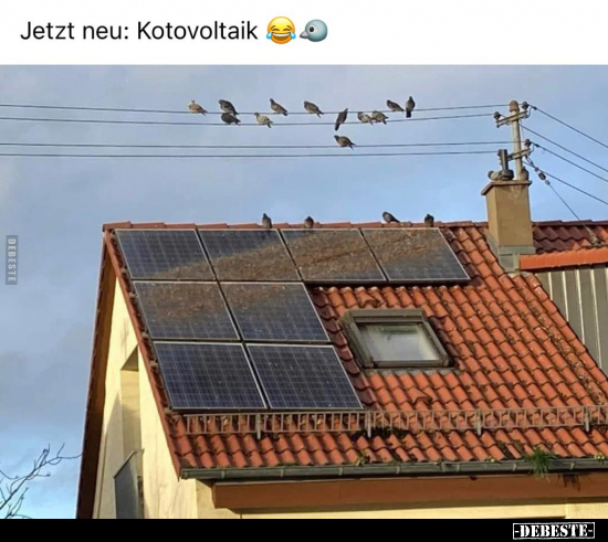 Jetzt neu: Kotovoltaik... - Lustige Bilder | DEBESTE.de