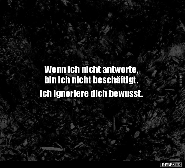 Wenn ich nicht antworte, bin ich nicht beschäftigt.. - Lustige Bilder | DEBESTE.de