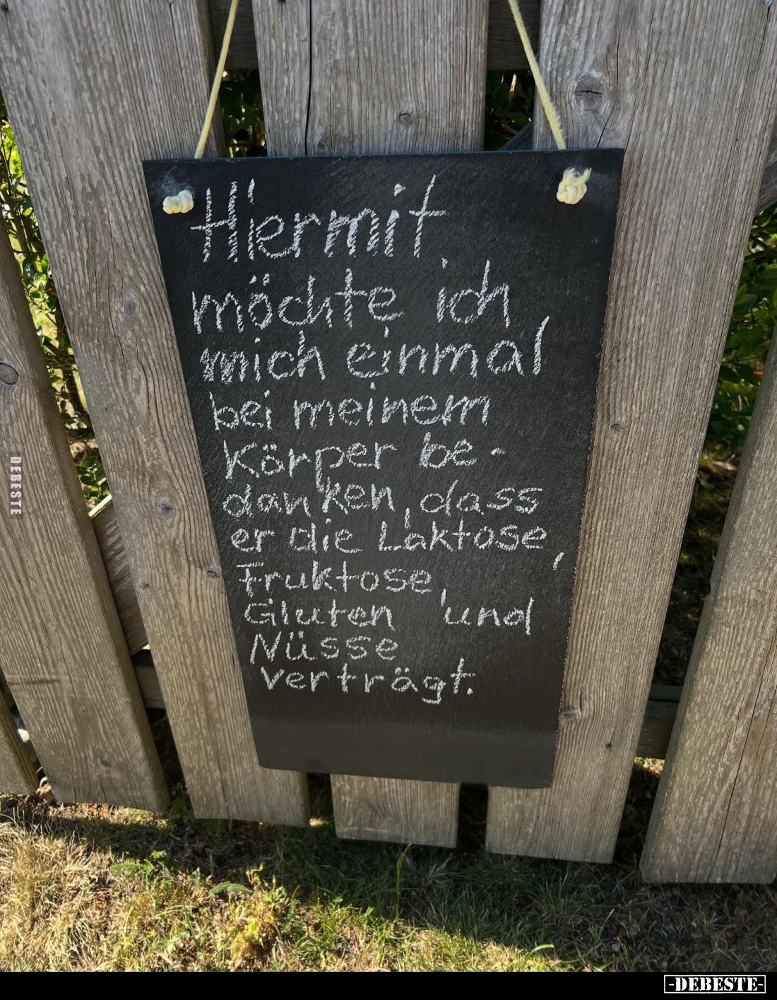 Hiermit
möchte ich mich einmal bei meinem Körper bedanken, dass er die Laktose, Fruktose, Gluten und Nüsse verträgt.