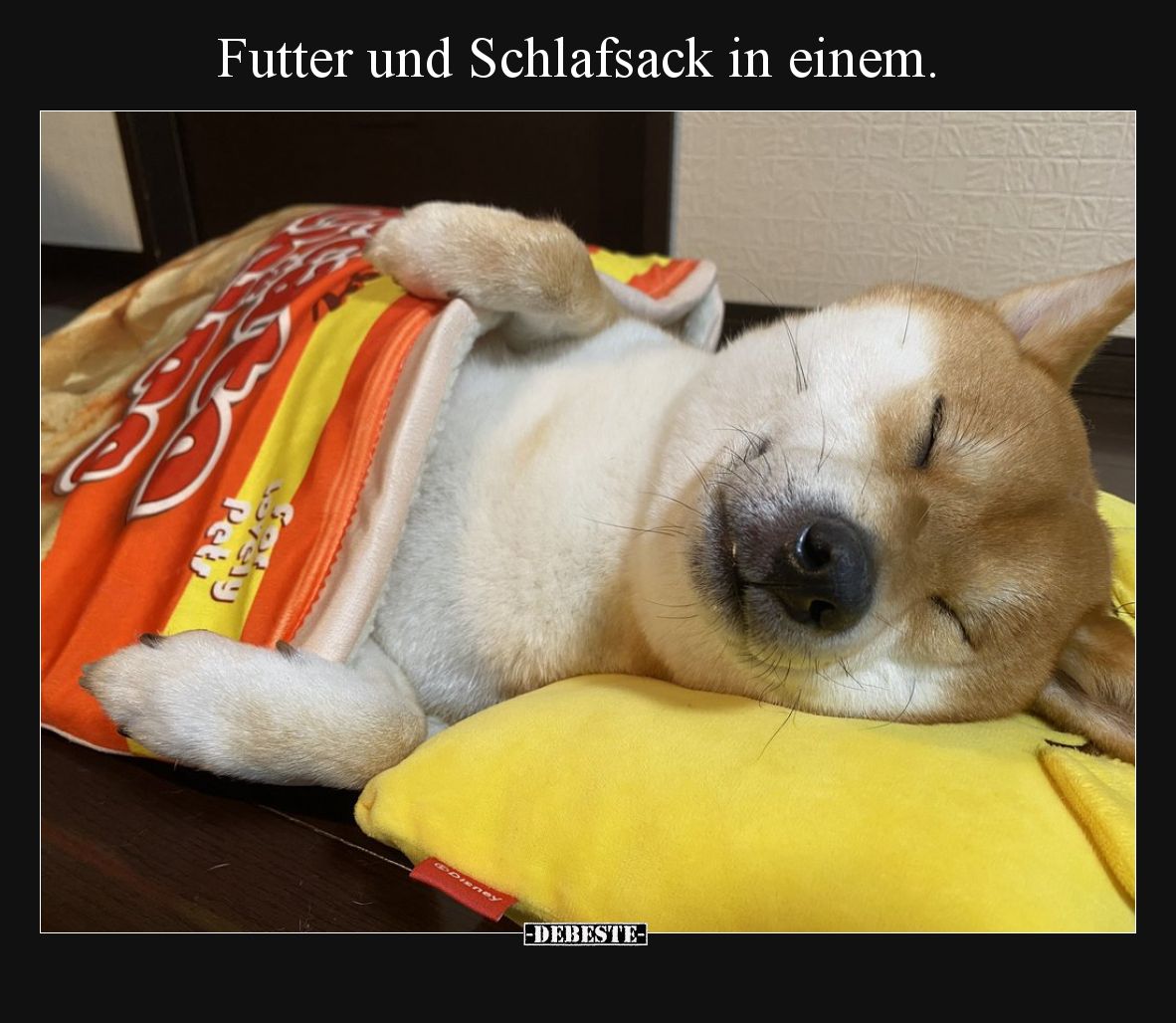 Futter und Schlafsack in einem... - Lustige Bilder | DEBESTE.de