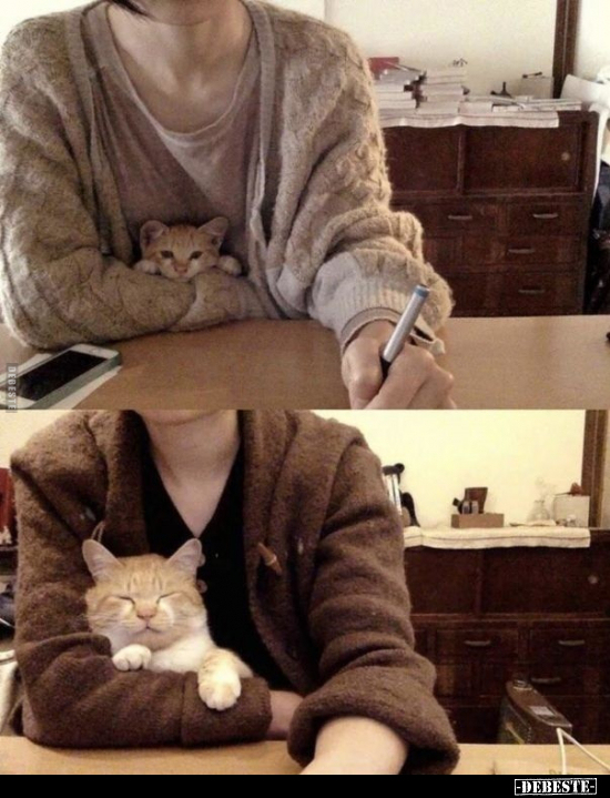  - Lustige Bilder | DEBESTE.de