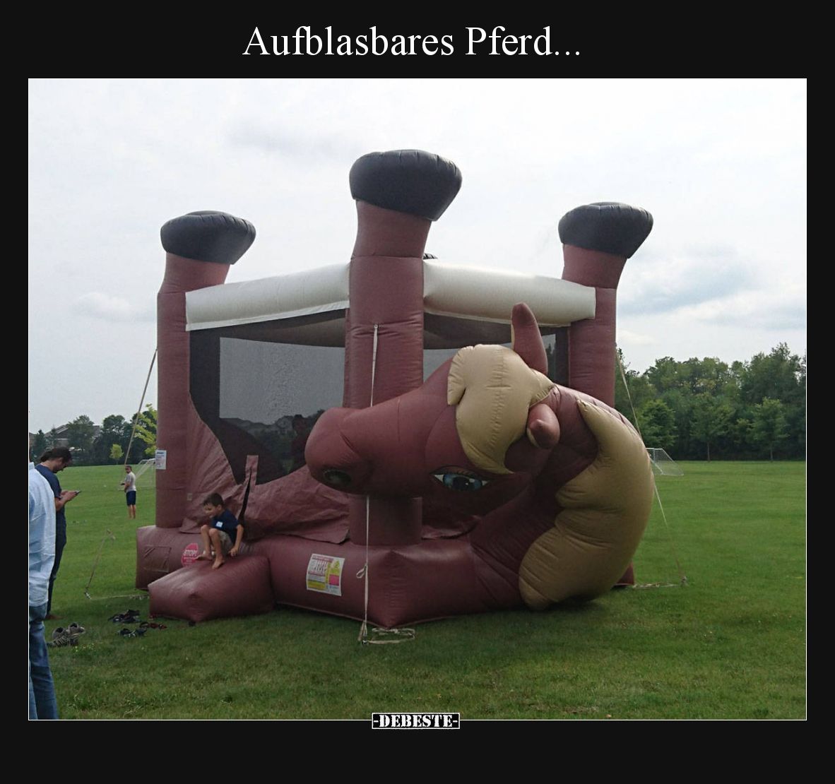 Aufblasbares Pferd...