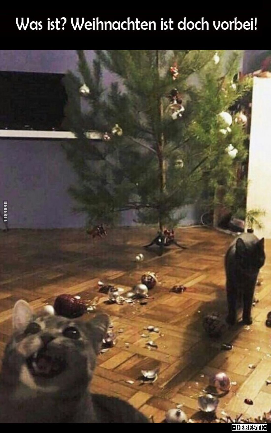 Was ist? Weihnachten ist doch vorbei!