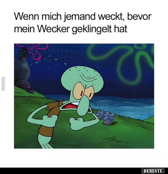 Wenn mich jemand weckt, bevor mein Wecker geklingelt hat.. - Lustige Bilder | DEBESTE.de