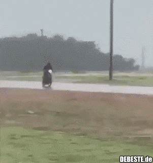  - Lustige Bilder | DEBESTE.de