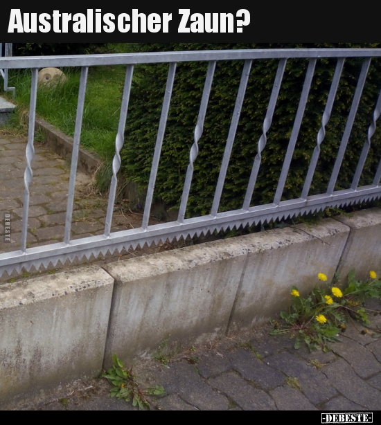 Australischer Zaun?.. - Lustige Bilder | DEBESTE.de