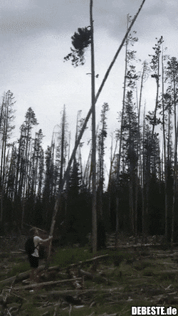 Da muss man vorsichtig sein..