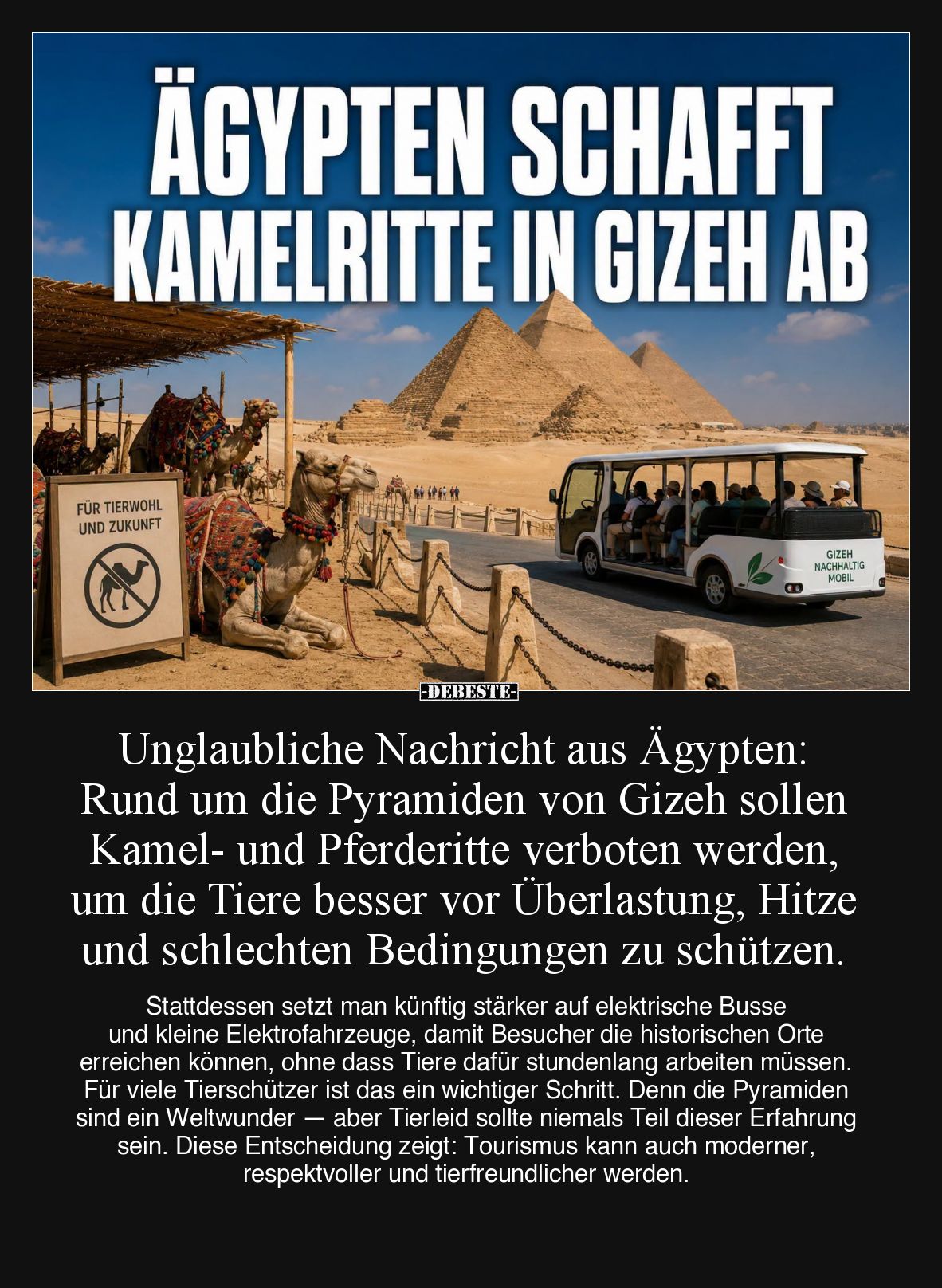 Unglaubliche Nachricht aus Ägypten:
Rund um die Pyramiden von Gizeh sollen Kamel- und Pferderitte verboten werden, um die ...