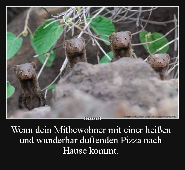 Wenn dein Mitbewohner mit einer heißen und wunderbar.. - Lustige Bilder | DEBESTE.de