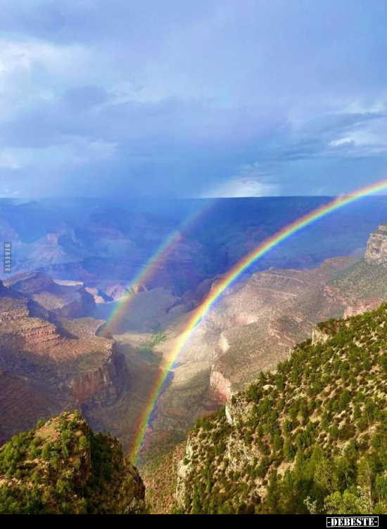  - Lustige Bilder | DEBESTE.de