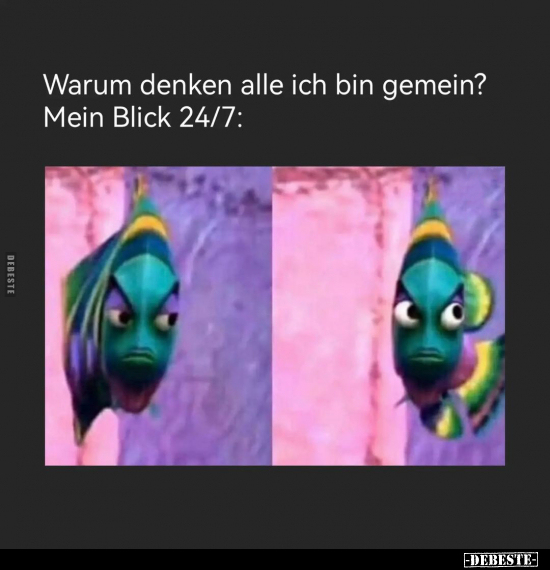 Warum denken alle ich bin gemein?.. - Lustige Bilder | DEBESTE.de