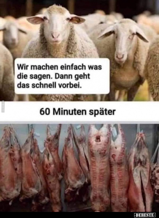 Wir machen einfach was die sagen. Dann geht das schnell vorbei. -
60 Minuten später.