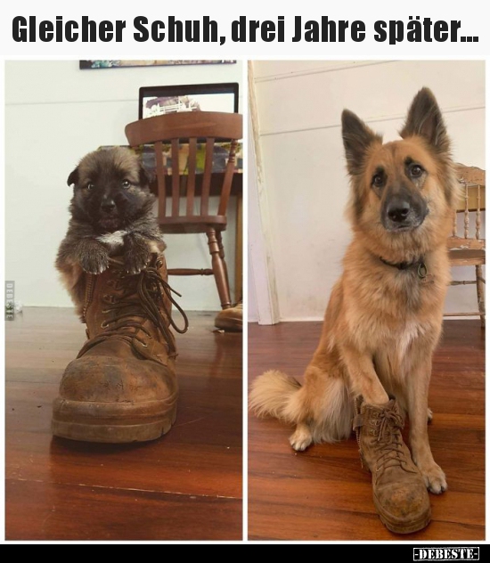 Gleicher Schuh, drei Jahre später...