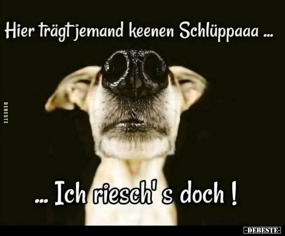 Hier trägt jemand keenen Schlüppaaa... -
Ich riesch's doch!
