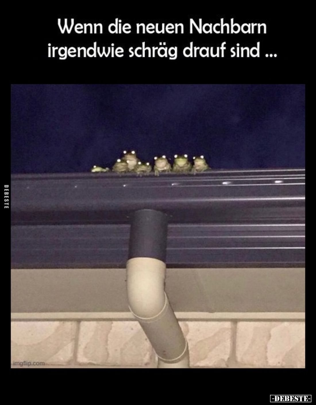 Wenn die neuen Nachbarn irgendwie schräg drauf sind...
