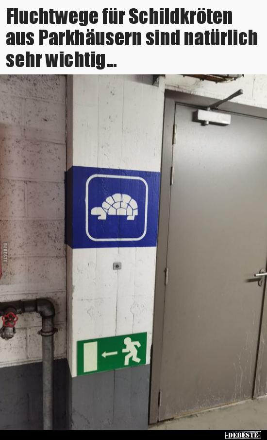 Fluchtwege für Schildkröten aus Parkhäusern sind natürlich.. - Lustige Bilder | DEBESTE.de