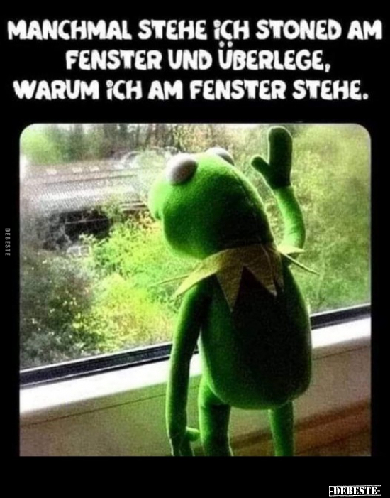 Manchmal stehe ich Stoned am Fenster und überlege.. - Lustige Bilder | DEBESTE.de