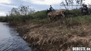 Wegen der Klimaerwärmung muss der Weihnachtsmann mit seinem Schlitten trainieren.
