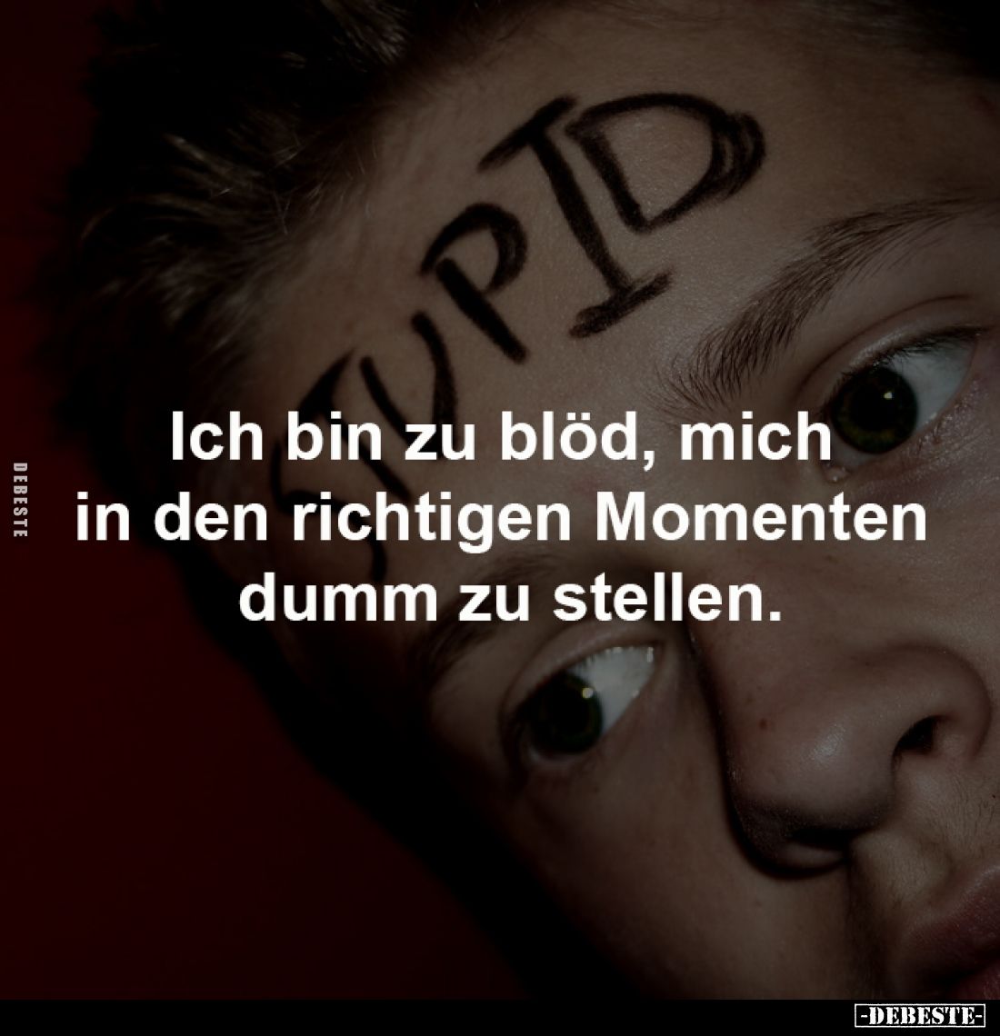 Ich bin zu blöd, mich in den richtigen Momenten... - Lustige Bilder | DEBESTE.de