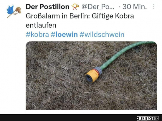 Kobra - Lustige Bilder | DEBESTE.de