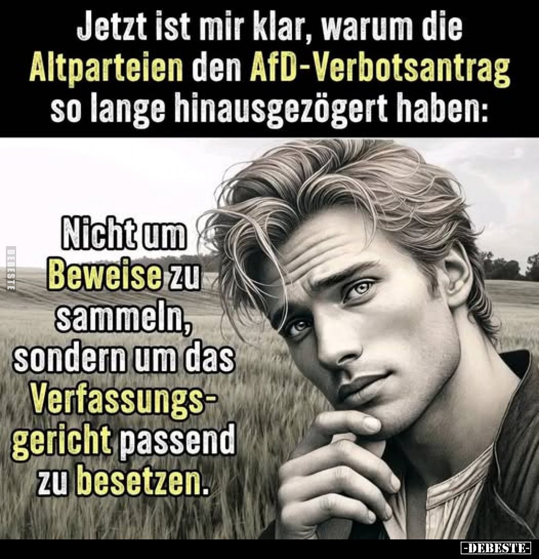Jetzt ist mir klar, warum die Altparteien den AfD-Verbotsantrag so lange hinausgezögert haben:
Nicht um Beweise zu sammeln, ...