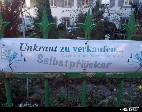 Unkraut zu verkaufen... - Lustige Bilder | DEBESTE.de