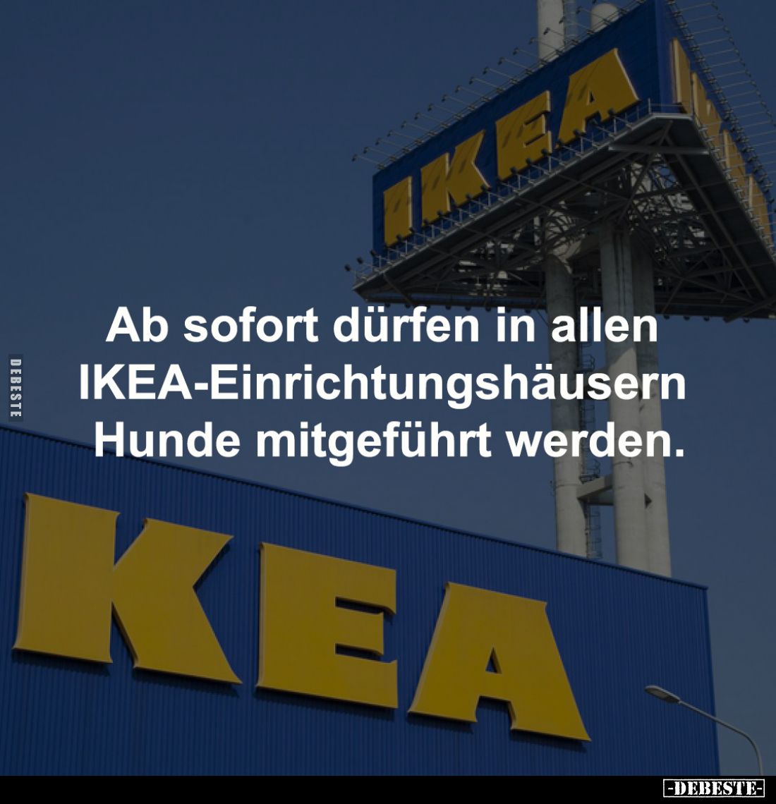 Ab sofort dürfen in allen 
IKEA-Einrichtungshäusern 
Hunde mitgeführt werden.