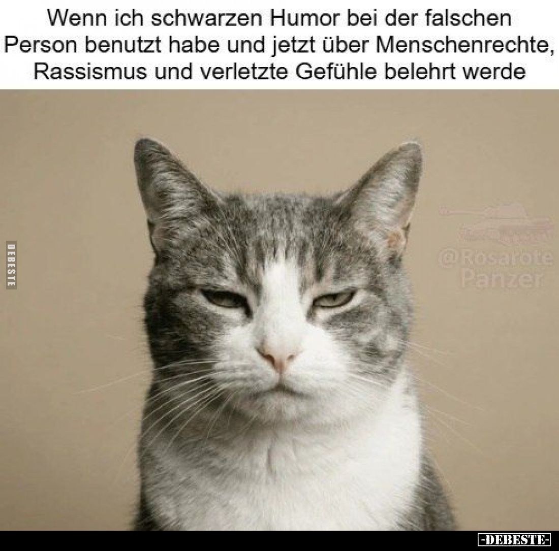 Wenn ich schwarzen Humor bei der falschen Person benutzt habe und jetzt über Menschenrechte, Rassismus und verletzte Gefühle ...