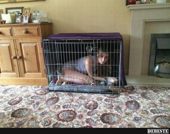 Artgerechte Haltung ist wichtig :)