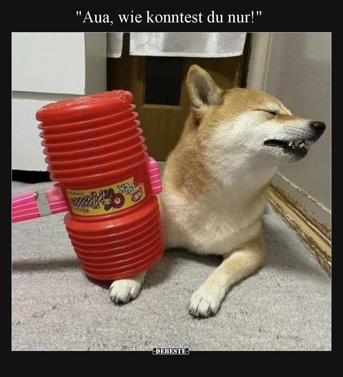 "Aua, wie konntest du nur!"