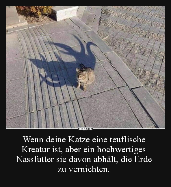 Wenn deine Katze eine teuflische Kreatur ist, aber ein.. - Lustige Bilder | DEBESTE.de