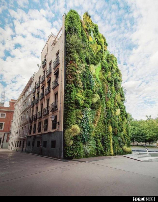  - Lustige Bilder | DEBESTE.de