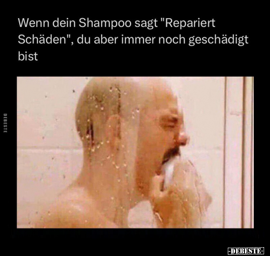Wenn dein Shampoo sagt "Repariert Schäden", du aber immer.. - Lustige Bilder | DEBESTE.de