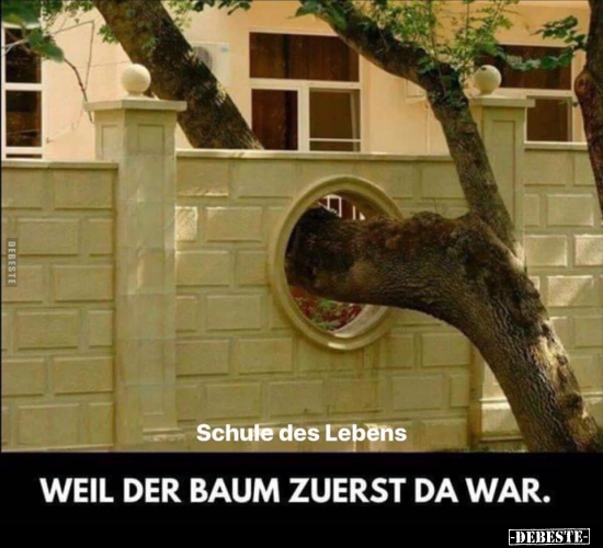 Schule des Lebens... - Lustige Bilder | DEBESTE.de