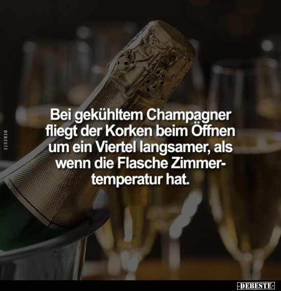 Bei gekühltem Champagner fliegt der Korken beim Öffnen um.. - Lustige Bilder | DEBESTE.de