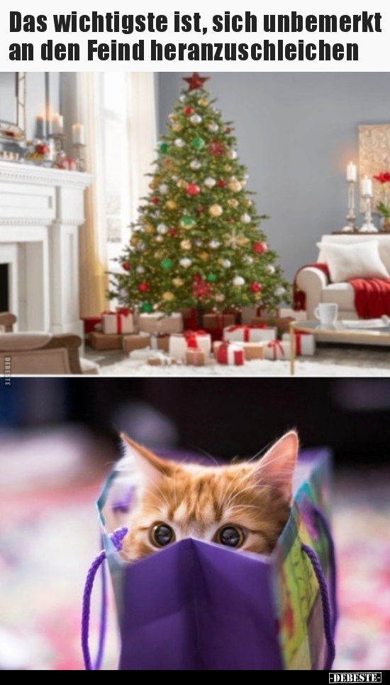 Das wichtigste ist, sich unbemerkt an den Feind..