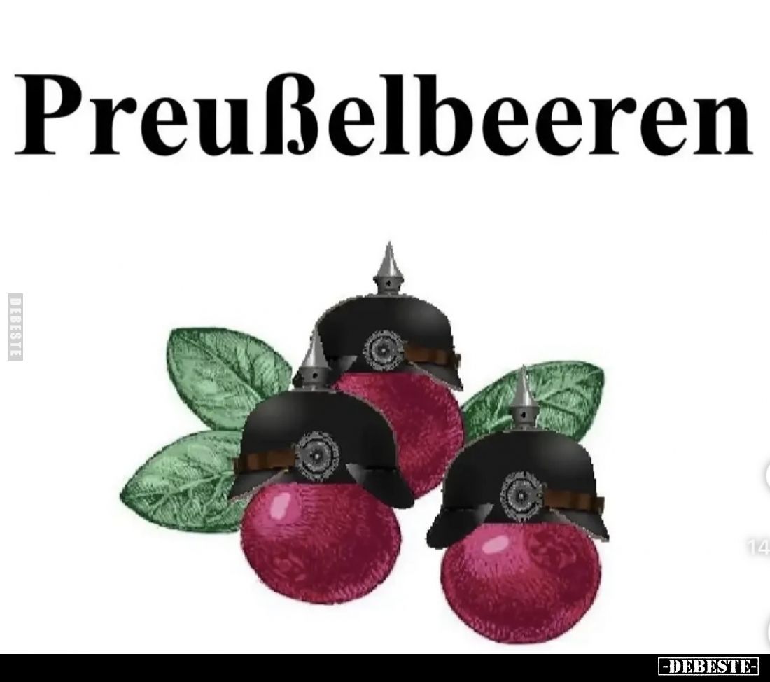  - Lustige Bilder | DEBESTE.de