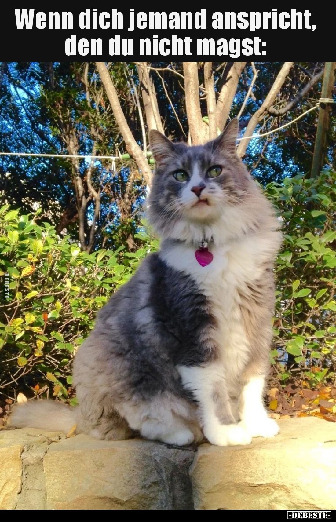 Wenn dich jemand anspricht, den du nicht magst: