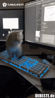 Das scheint sehr interessant zu sein..