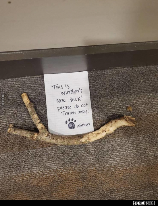  - Lustige Bilder | DEBESTE.de