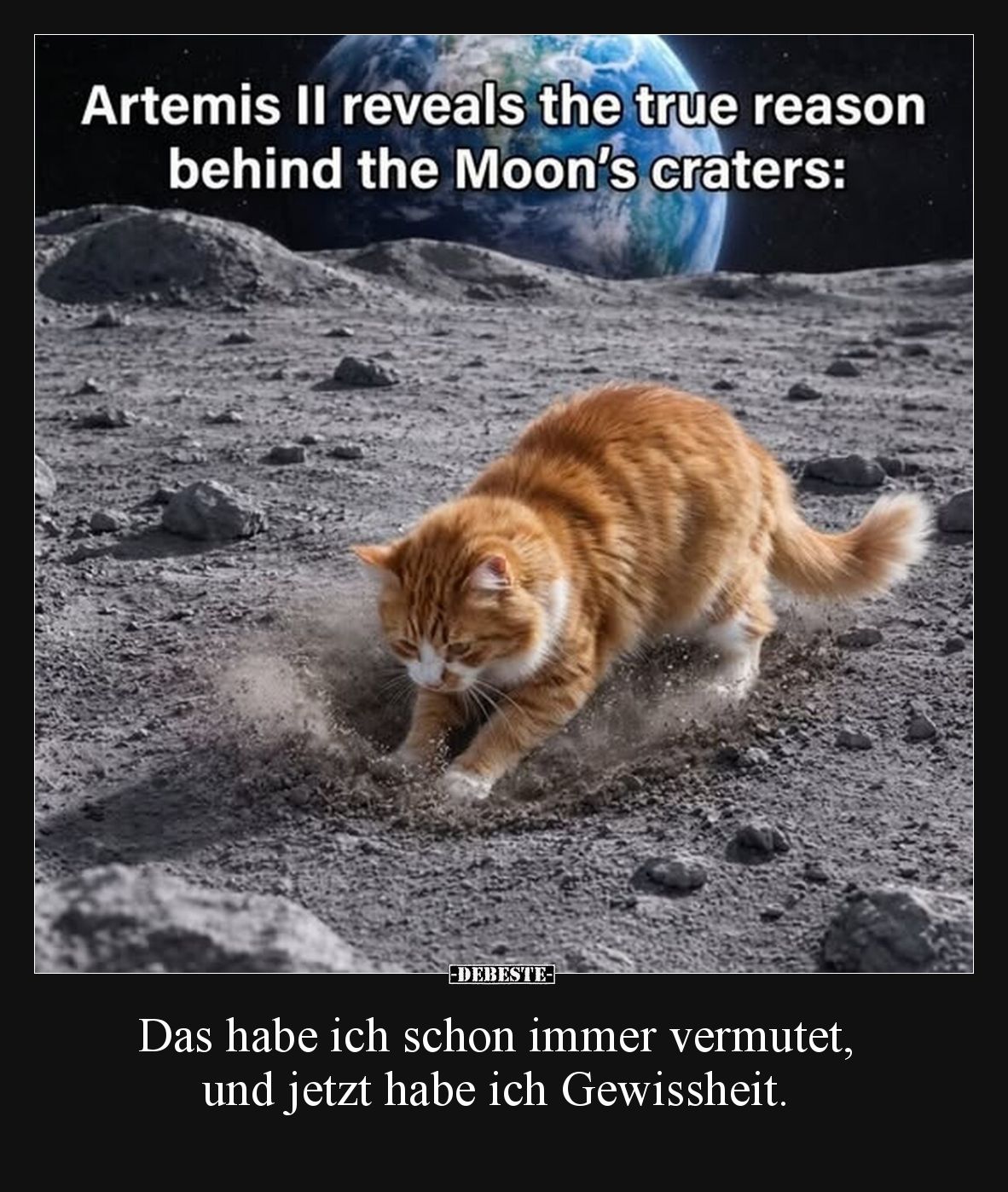 Das habe ich schon immer vermutet, und jetzt habe ich Gewissheit.